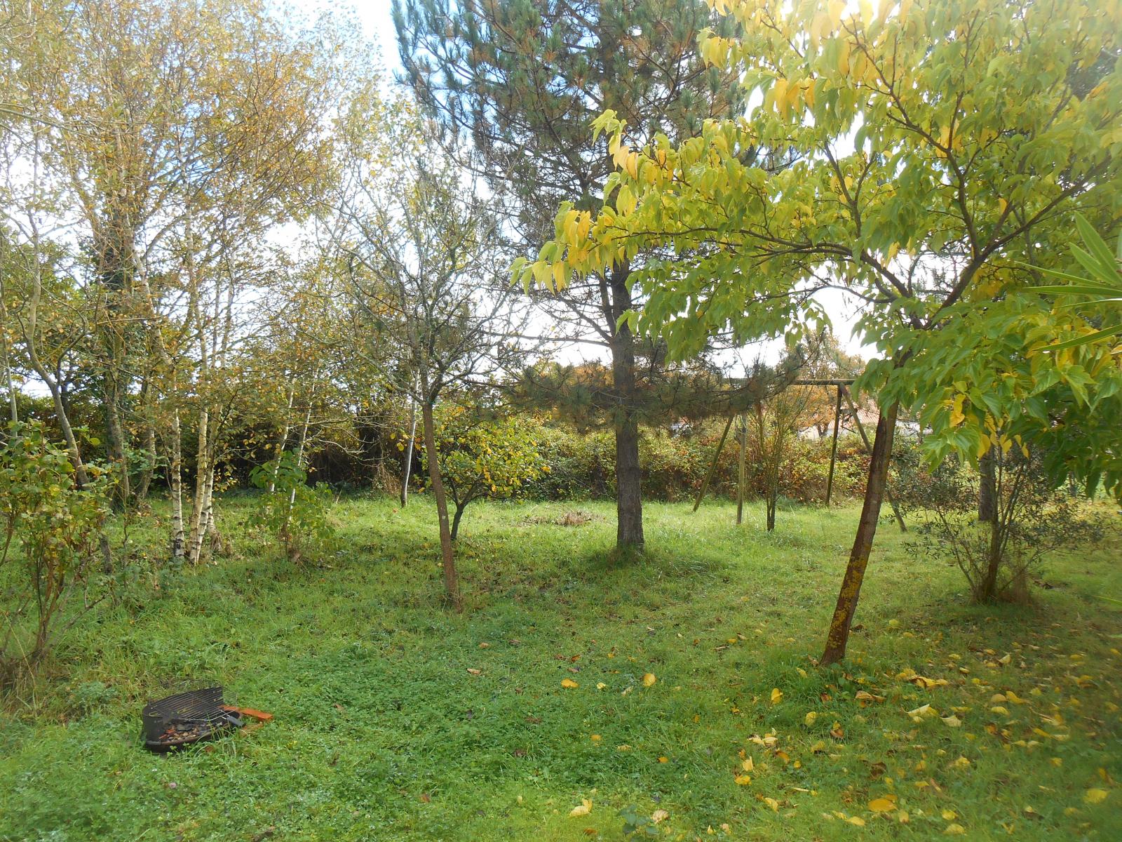 Encore une vue du jardin ( Les Moutiers en Retz )