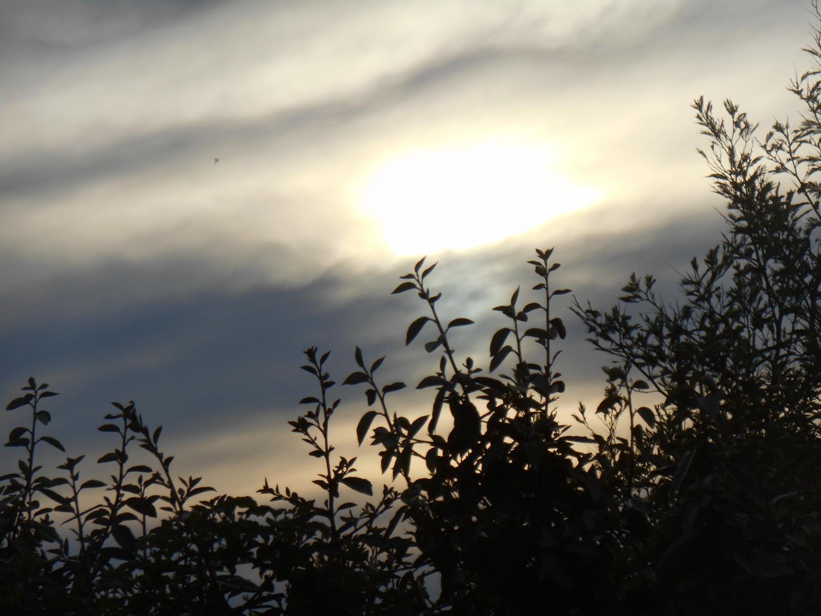 Le plongeon du soleil continue zoom ( Les Moutiers en Retz )